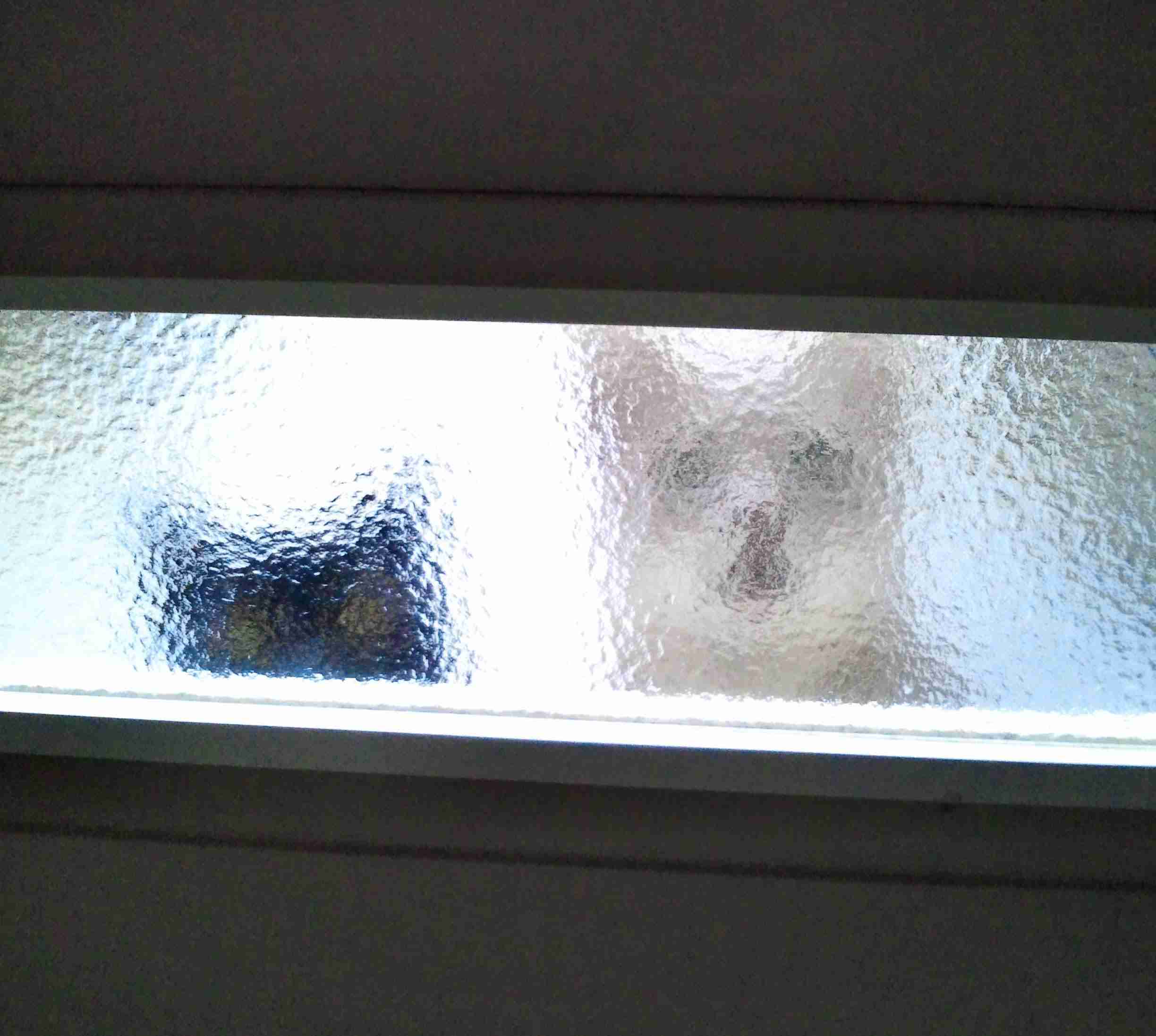 がるちゃん猫カフェ92号店開店しました♫(初めての方も大歓迎♫）