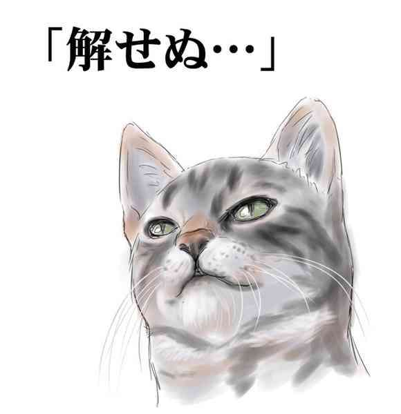 がるちゃん猫カフェ92号店開店しました♫(初めての方も大歓迎♫）