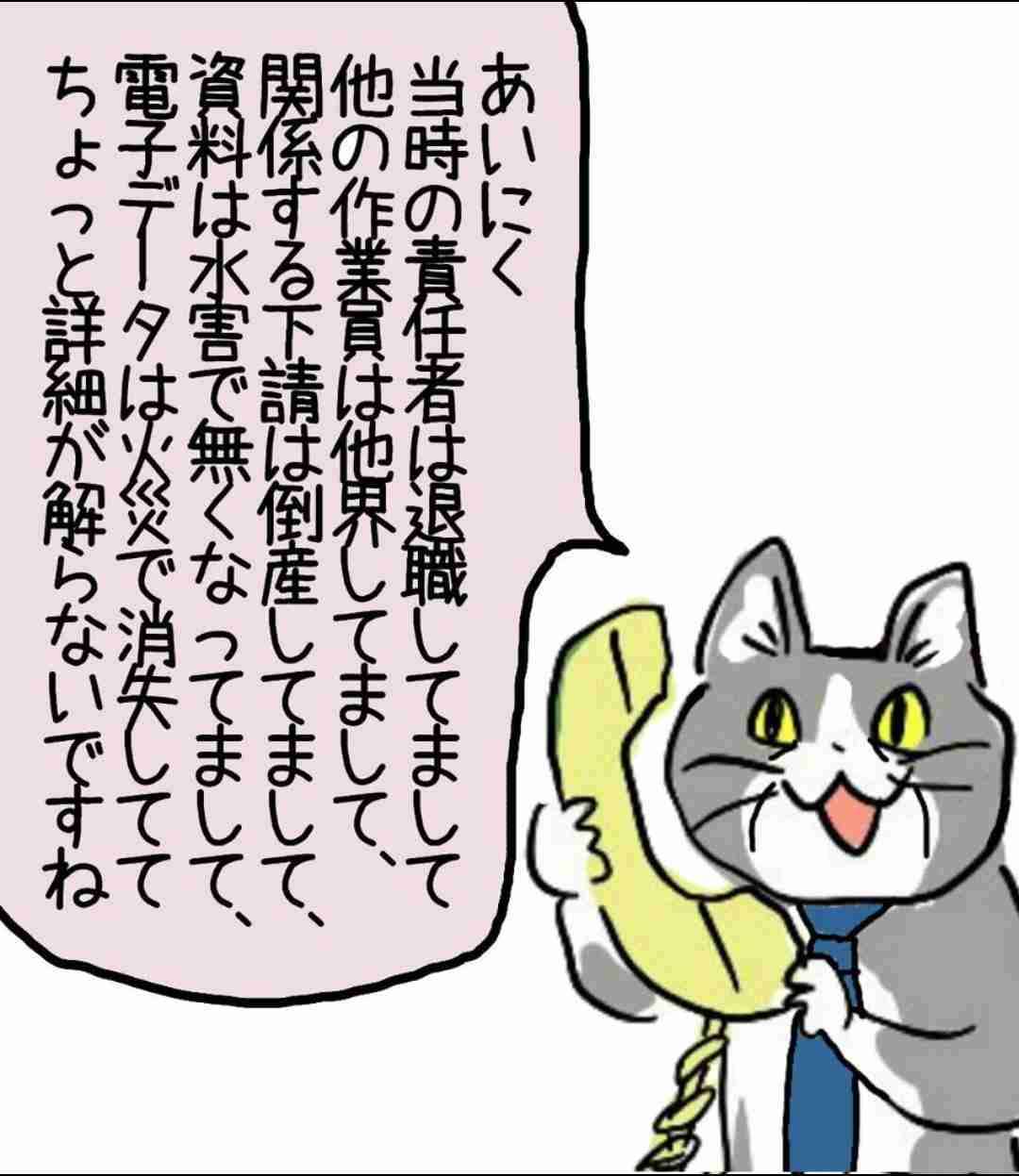 がるちゃん猫カフェ92号店開店しました♫(初めての方も大歓迎♫）