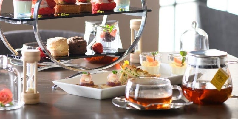 がるちゃん猫カフェ92号店開店しました♫(初めての方も大歓迎♫）