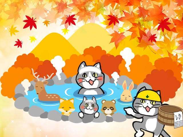 がるちゃん猫カフェ92号店開店しました♫(初めての方も大歓迎♫）