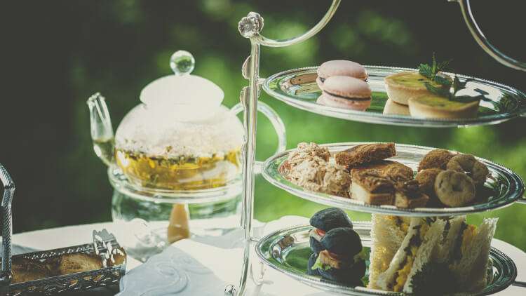 がるちゃん猫カフェ92号店開店しました♫(初めての方も大歓迎♫）