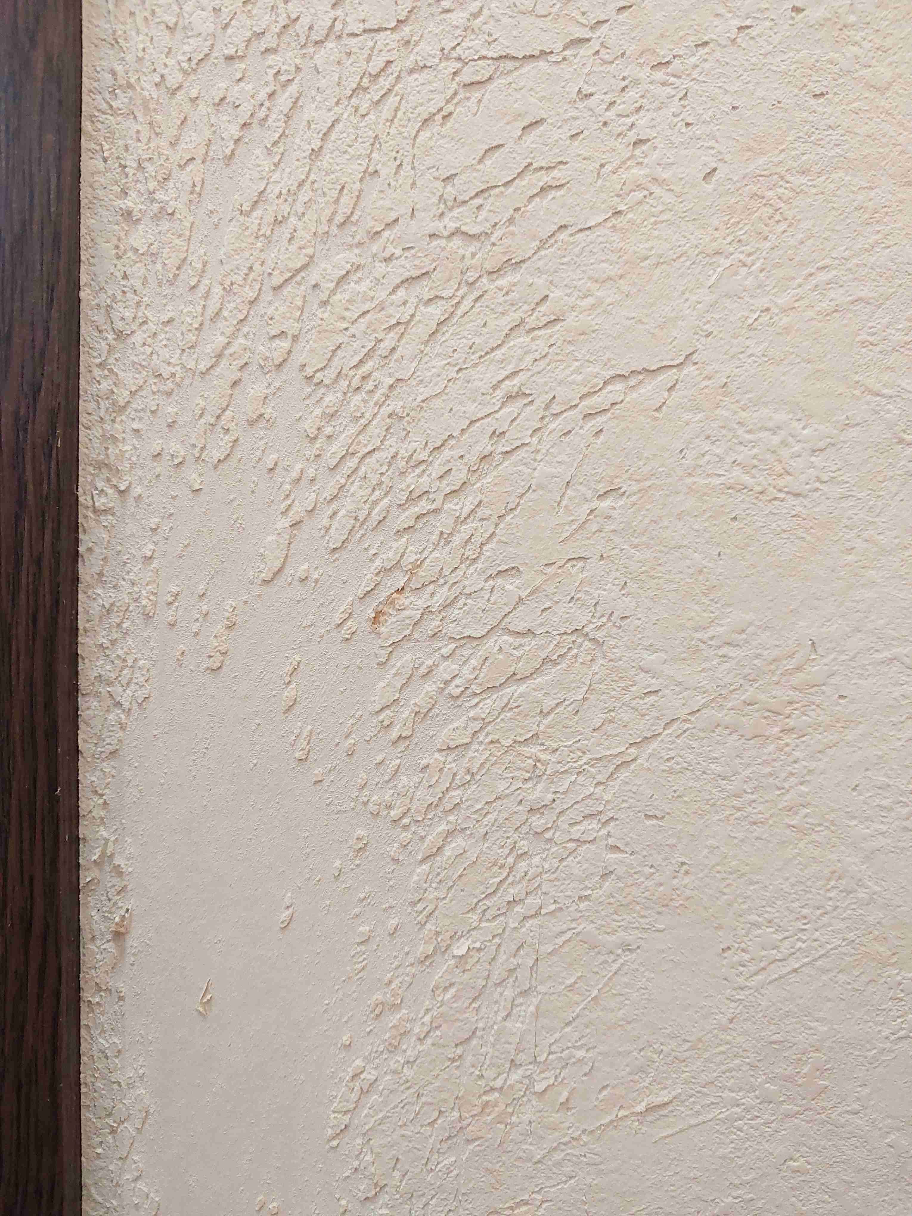 がるちゃん猫カフェ92号店開店しました♫(初めての方も大歓迎♫）