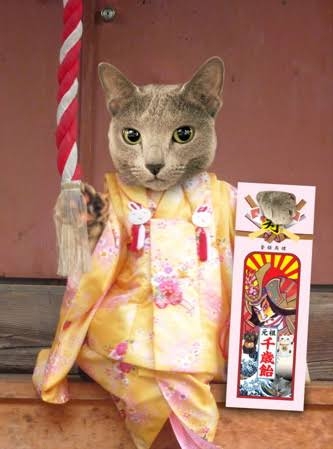 がるちゃん猫カフェ92号店開店しました♫(初めての方も大歓迎♫）