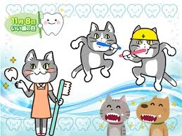 がるちゃん猫カフェ92号店開店しました♫(初めての方も大歓迎♫）