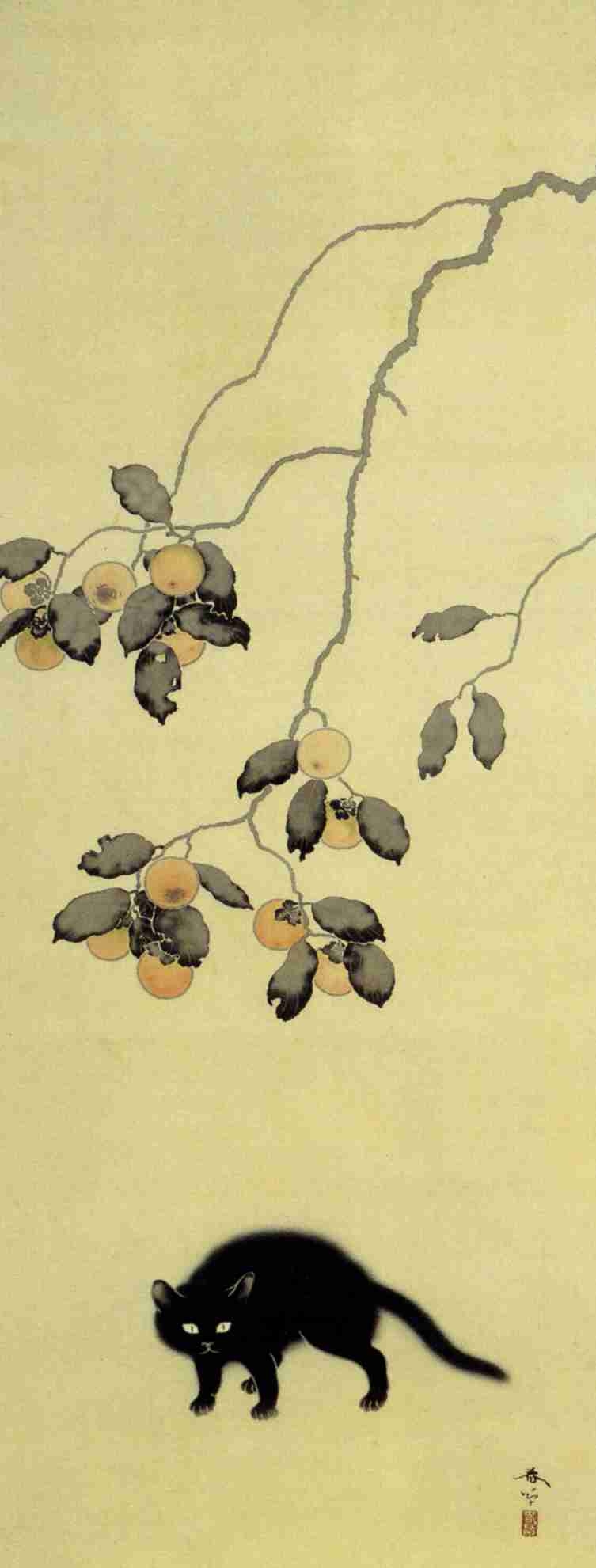 がるちゃん猫カフェ92号店開店しました♫(初めての方も大歓迎♫）