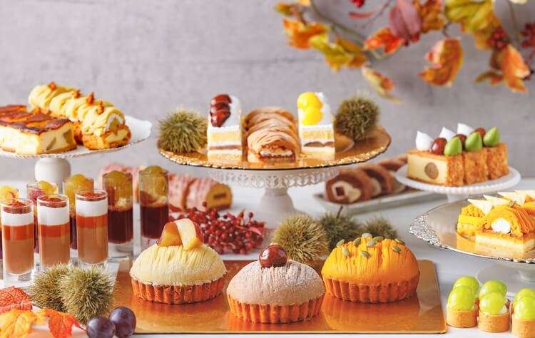 がるちゃん猫カフェ92号店開店しました♫(初めての方も大歓迎♫）