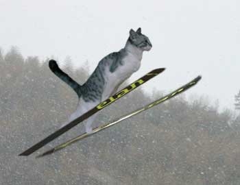 がるちゃん猫カフェ92号店開店しました♫(初めての方も大歓迎♫）