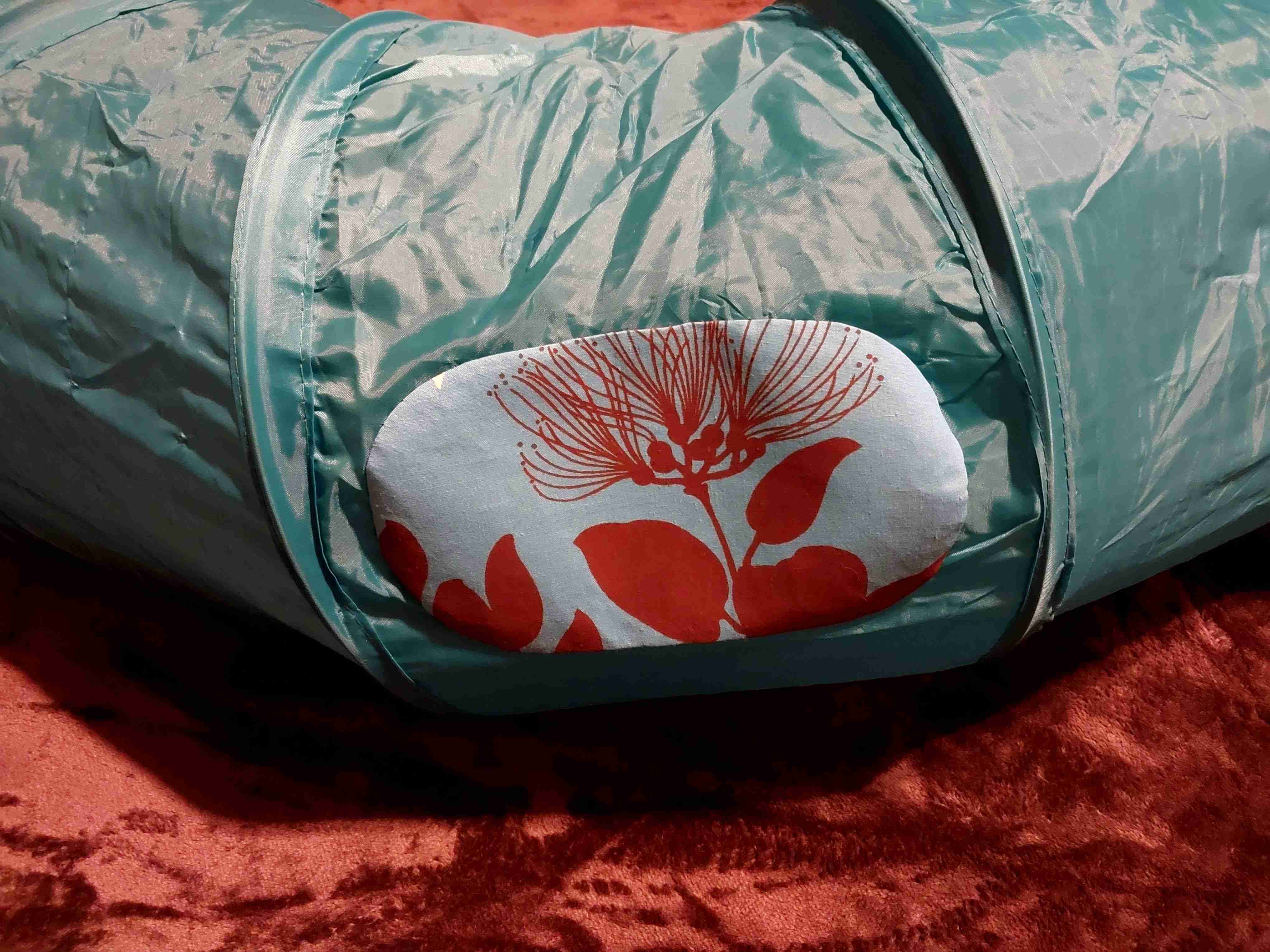 がるちゃん猫カフェ92号店開店しました♫(初めての方も大歓迎♫）