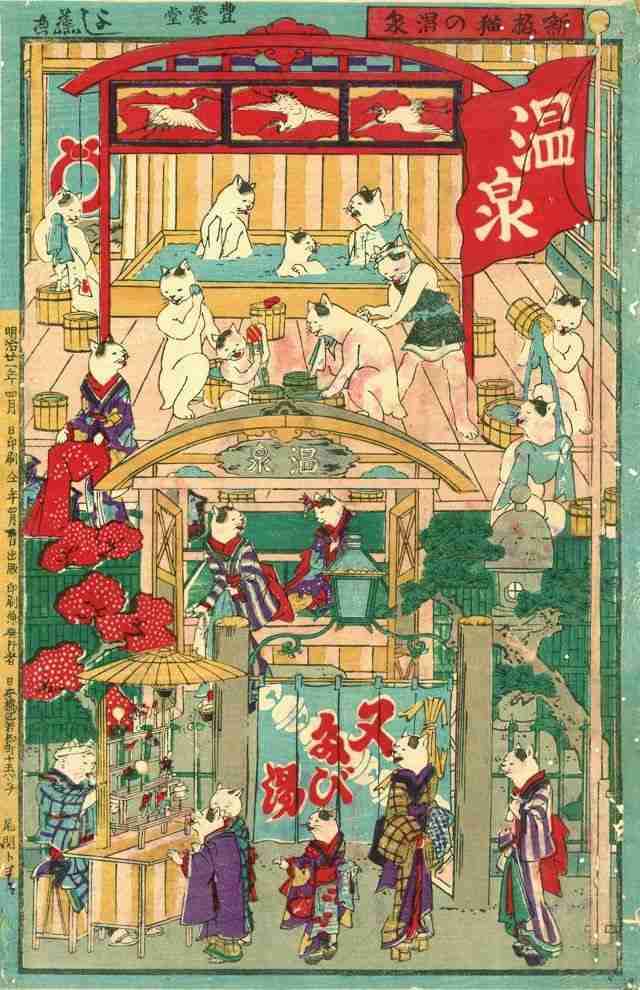 がるちゃん猫カフェ92号店開店しました♫(初めての方も大歓迎♫）