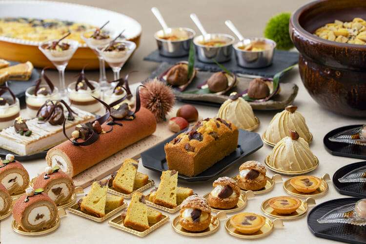 がるちゃん猫カフェ92号店開店しました♫(初めての方も大歓迎♫）