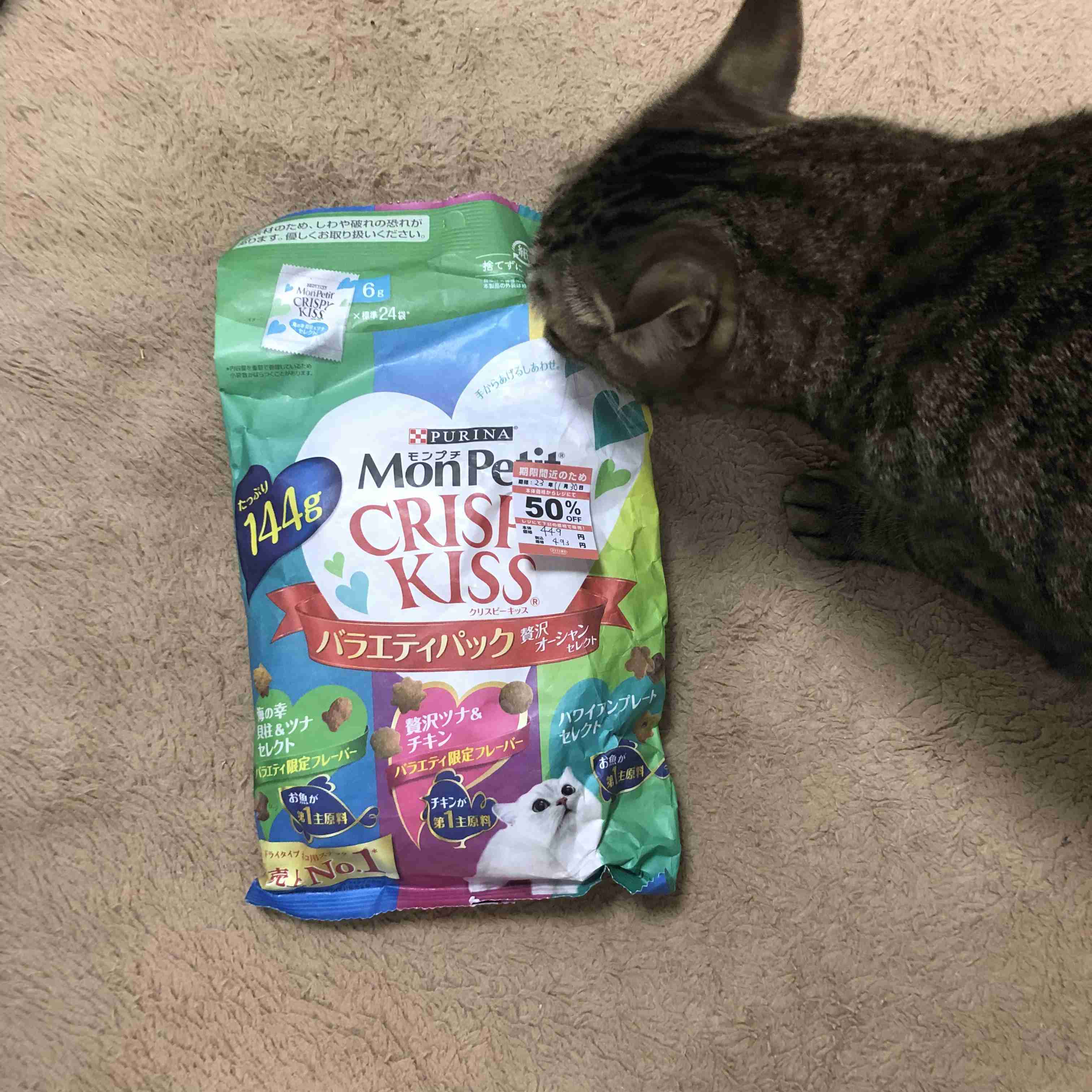 がるちゃん猫カフェ92号店開店しました♫(初めての方も大歓迎♫）