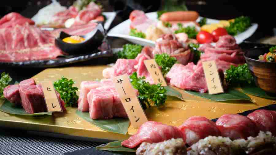 がるちゃん猫カフェ92号店開店しました♫(初めての方も大歓迎♫）