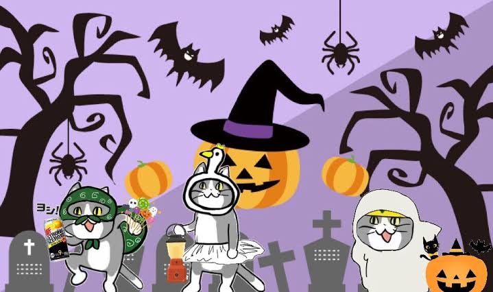 がるちゃん猫カフェ92号店開店しました♫(初めての方も大歓迎♫）