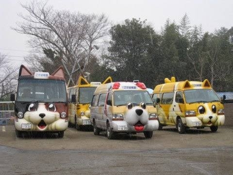 がるちゃん猫カフェ92号店開店しました♫(初めての方も大歓迎♫）