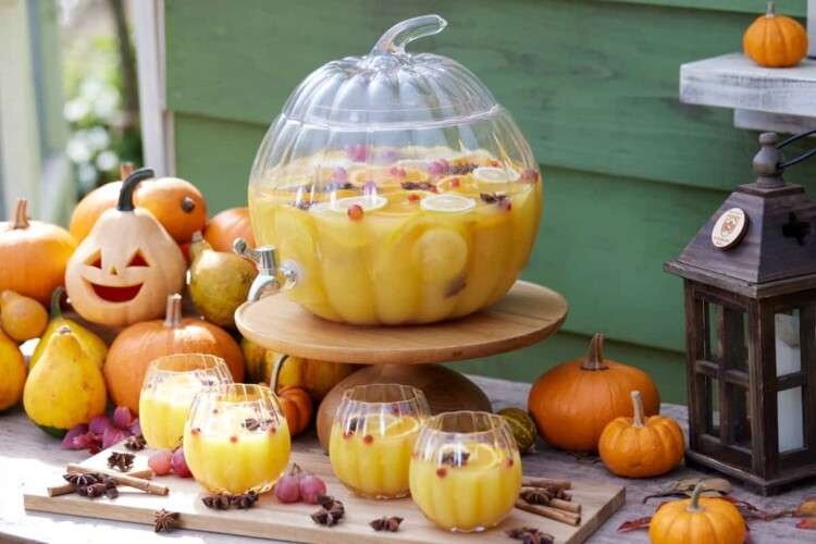 がるちゃん猫カフェ92号店開店しました♫(初めての方も大歓迎♫）