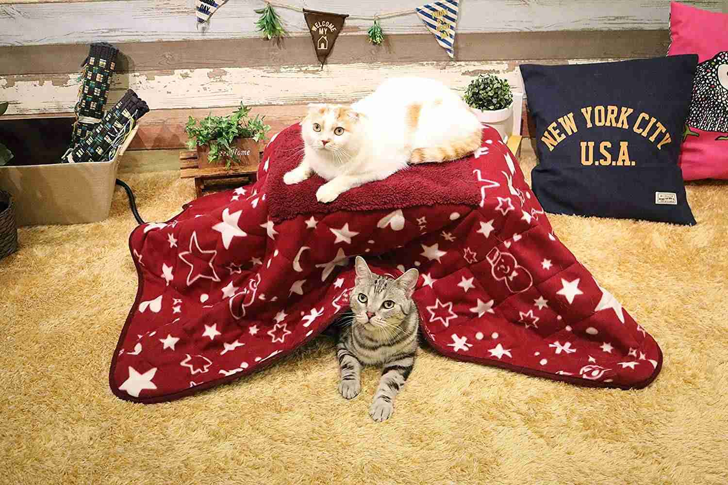 がるちゃん猫カフェ92号店開店しました♫(初めての方も大歓迎♫）