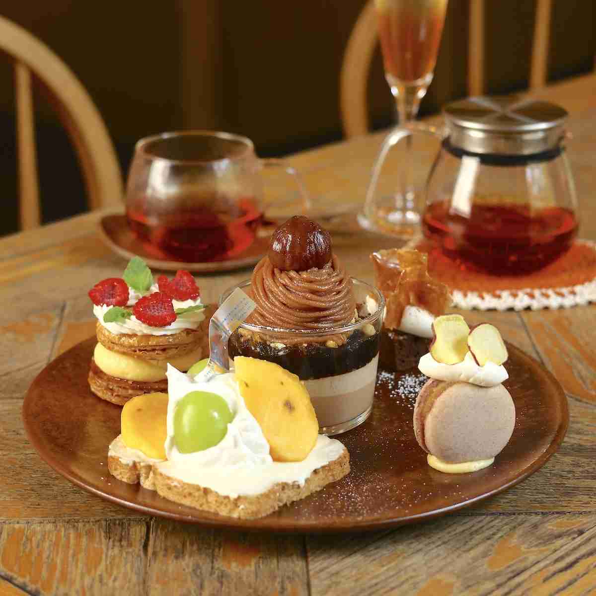 がるちゃん猫カフェ92号店開店しました♫(初めての方も大歓迎♫）