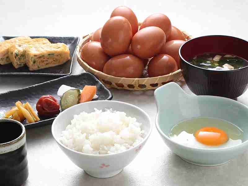 がるちゃん猫カフェ92号店開店しました♫(初めての方も大歓迎♫）