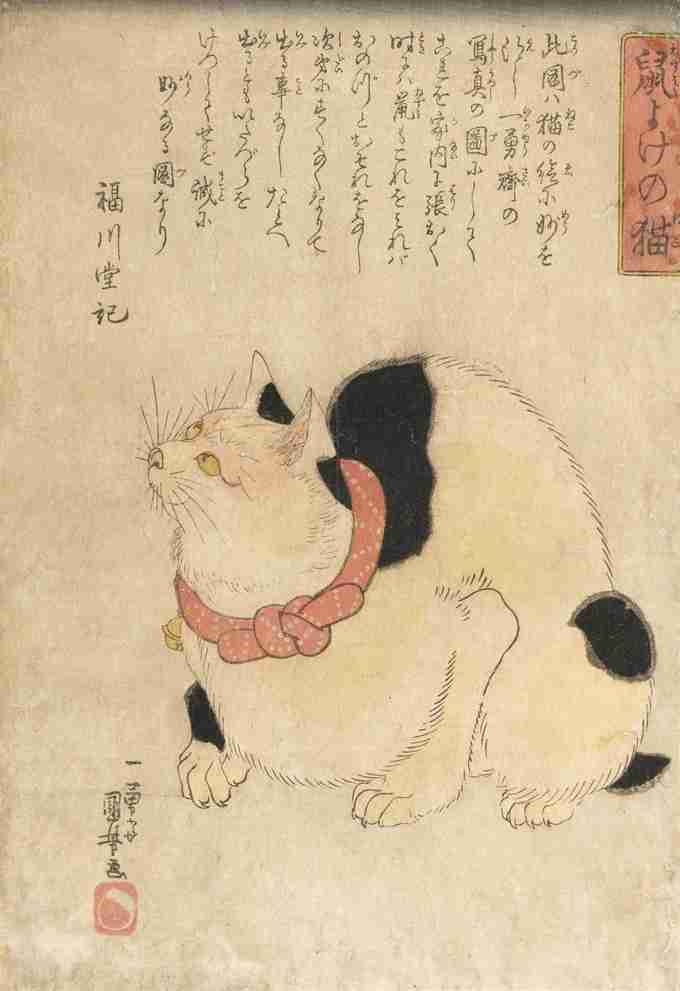 がるちゃん猫カフェ92号店開店しました♫(初めての方も大歓迎♫）