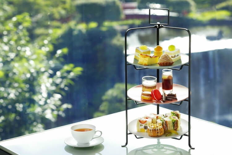 がるちゃん猫カフェ92号店開店しました♫(初めての方も大歓迎♫）