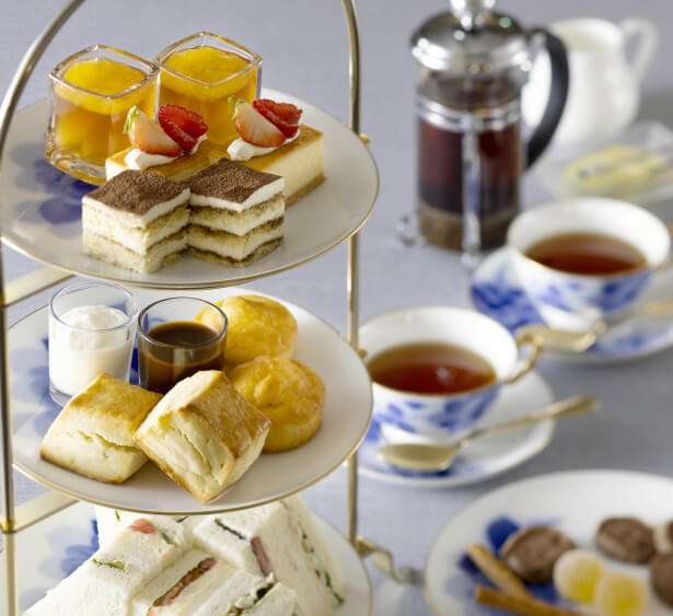 がるちゃん猫カフェ92号店開店しました♫(初めての方も大歓迎♫）