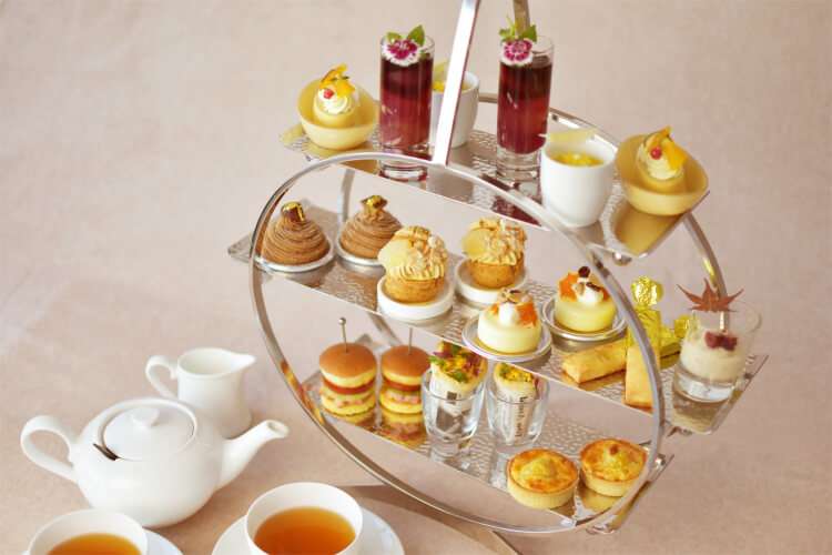 がるちゃん猫カフェ92号店開店しました♫(初めての方も大歓迎♫）