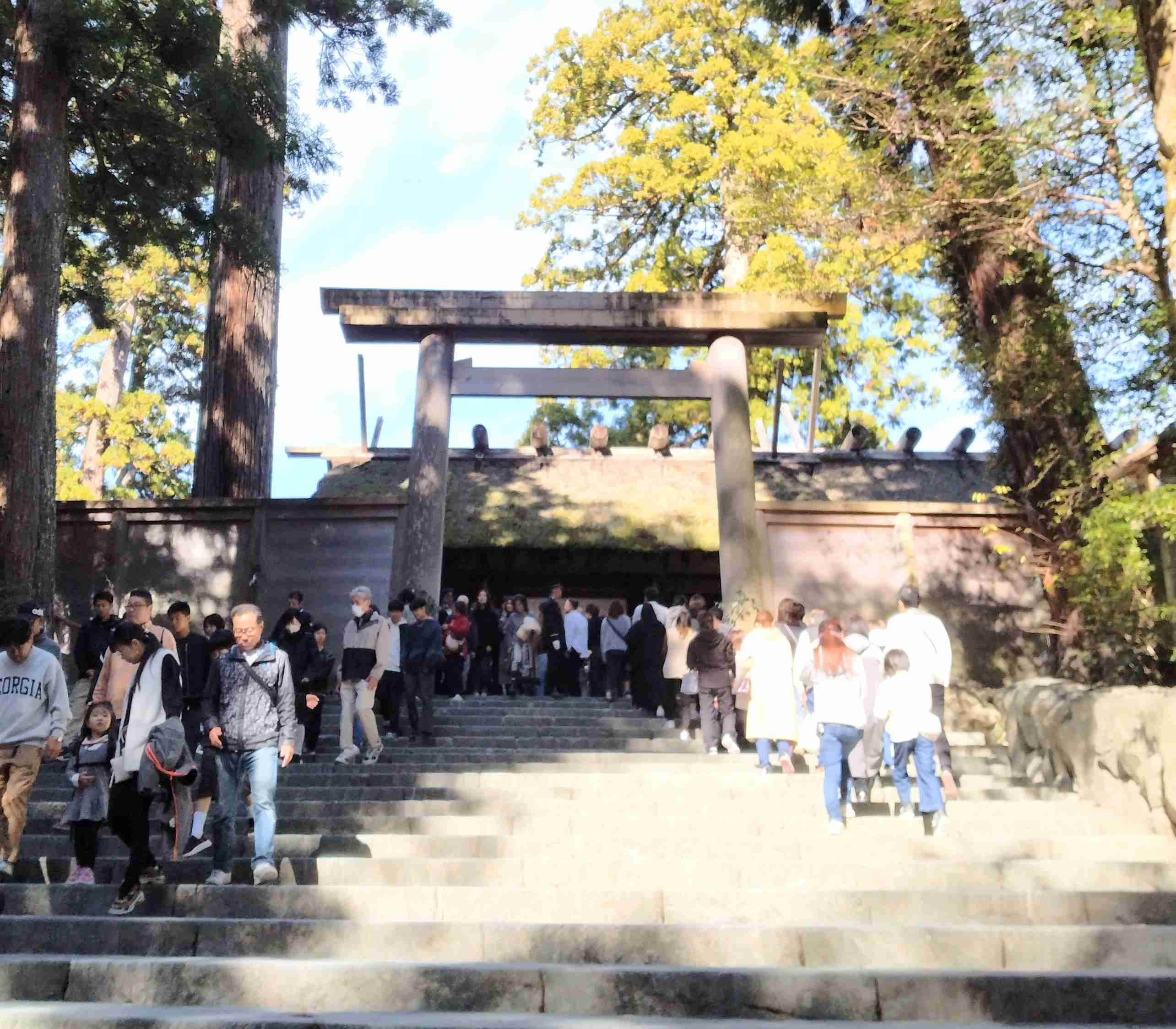 がるちゃん猫カフェ92号店開店しました♫(初めての方も大歓迎♫）