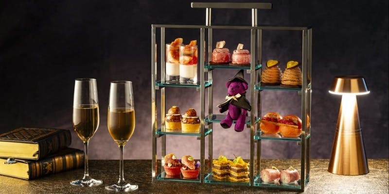 がるちゃん猫カフェ92号店開店しました♫(初めての方も大歓迎♫）