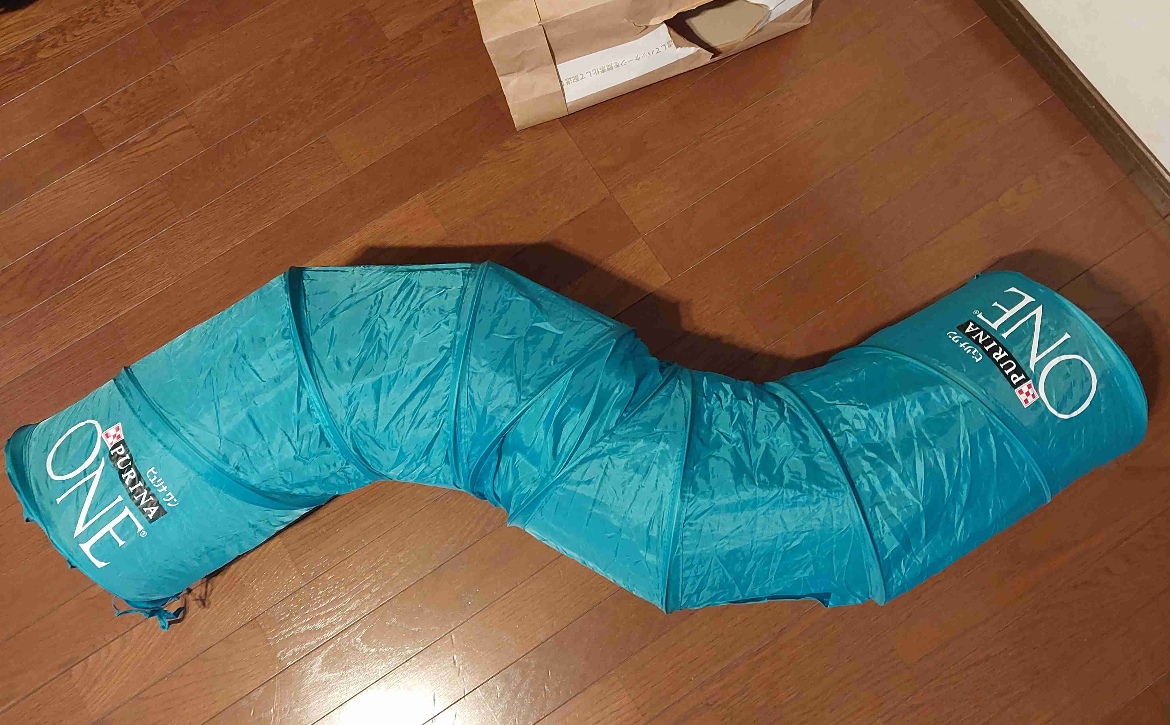 がるちゃん猫カフェ92号店開店しました♫(初めての方も大歓迎♫）