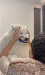 【もののけ姫】を語ろう