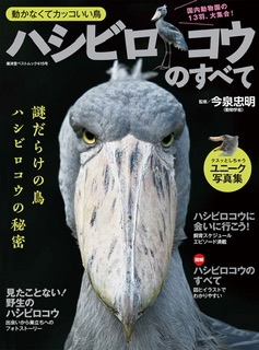 歌舞伎町にある“予約が取れない美容外科”、日本一バズる「小顔整形ドクター」の正体とは?自身も3500万円かけて整形