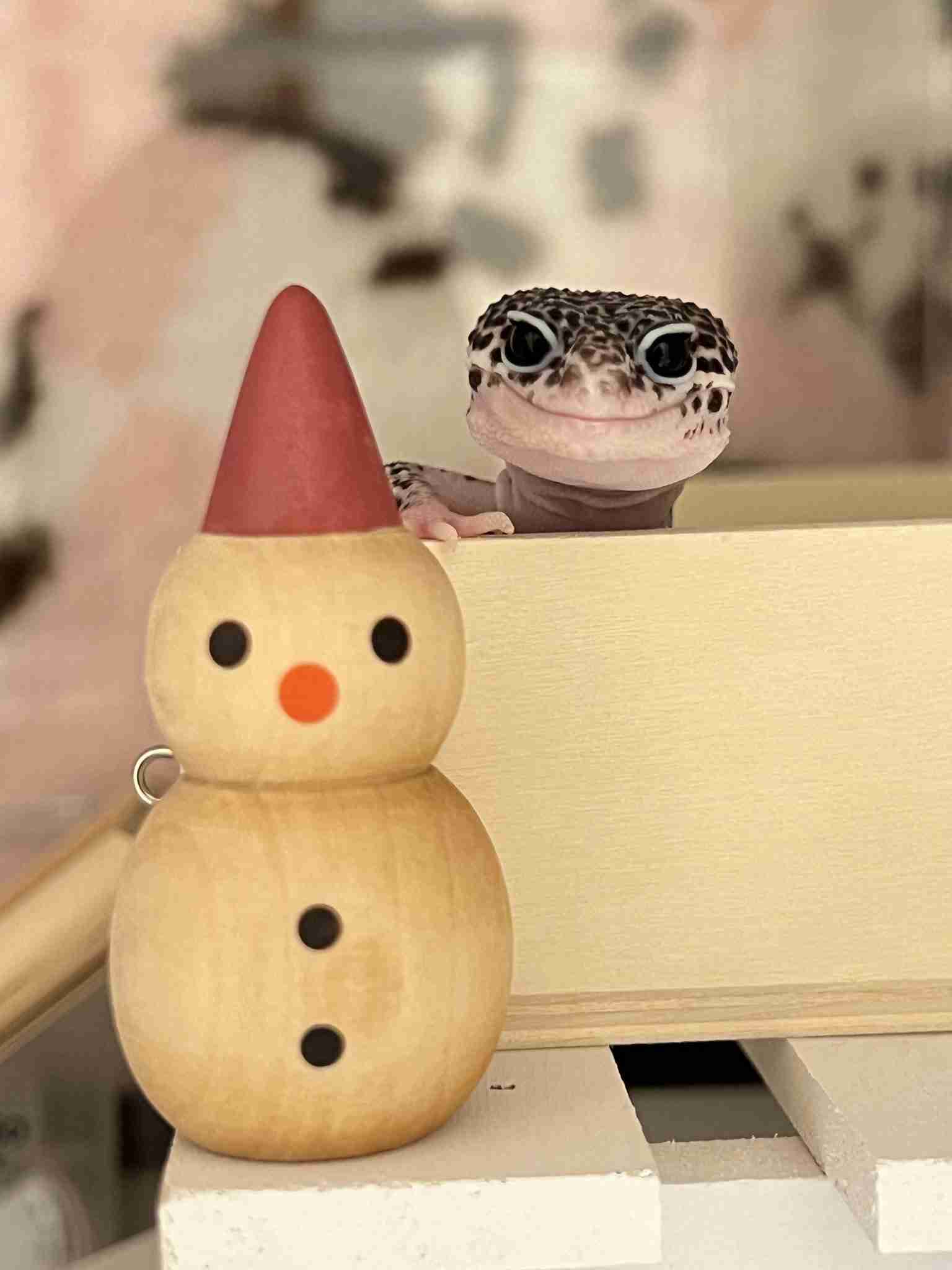 【理解】良さがわからないものを、わかる人に熱弁してもらうトピ【深める】