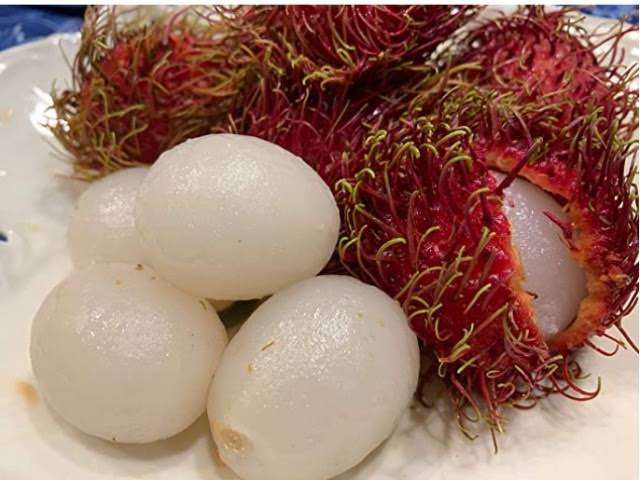 超ワイルドに変身の長瀬智也、45歳最初のSNS投稿が話題「真のイケメン」「イケおじが過ぎんか?」