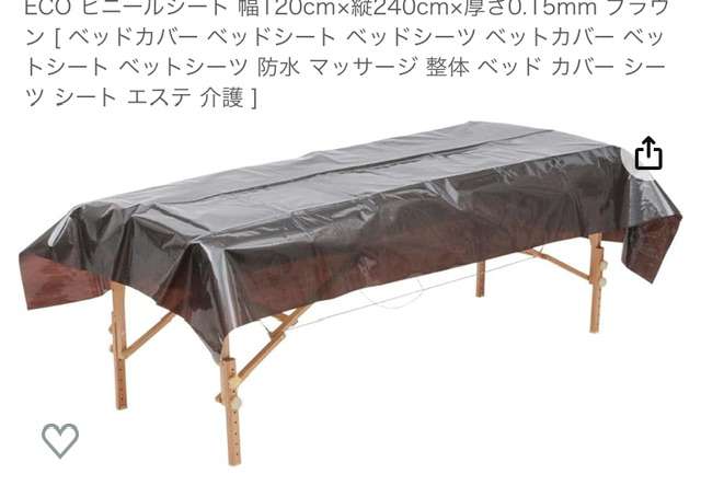 隣部屋のトコジラミ殺虫剤を吸引、一酸化炭素中毒で死亡　休暇の英国人夫婦