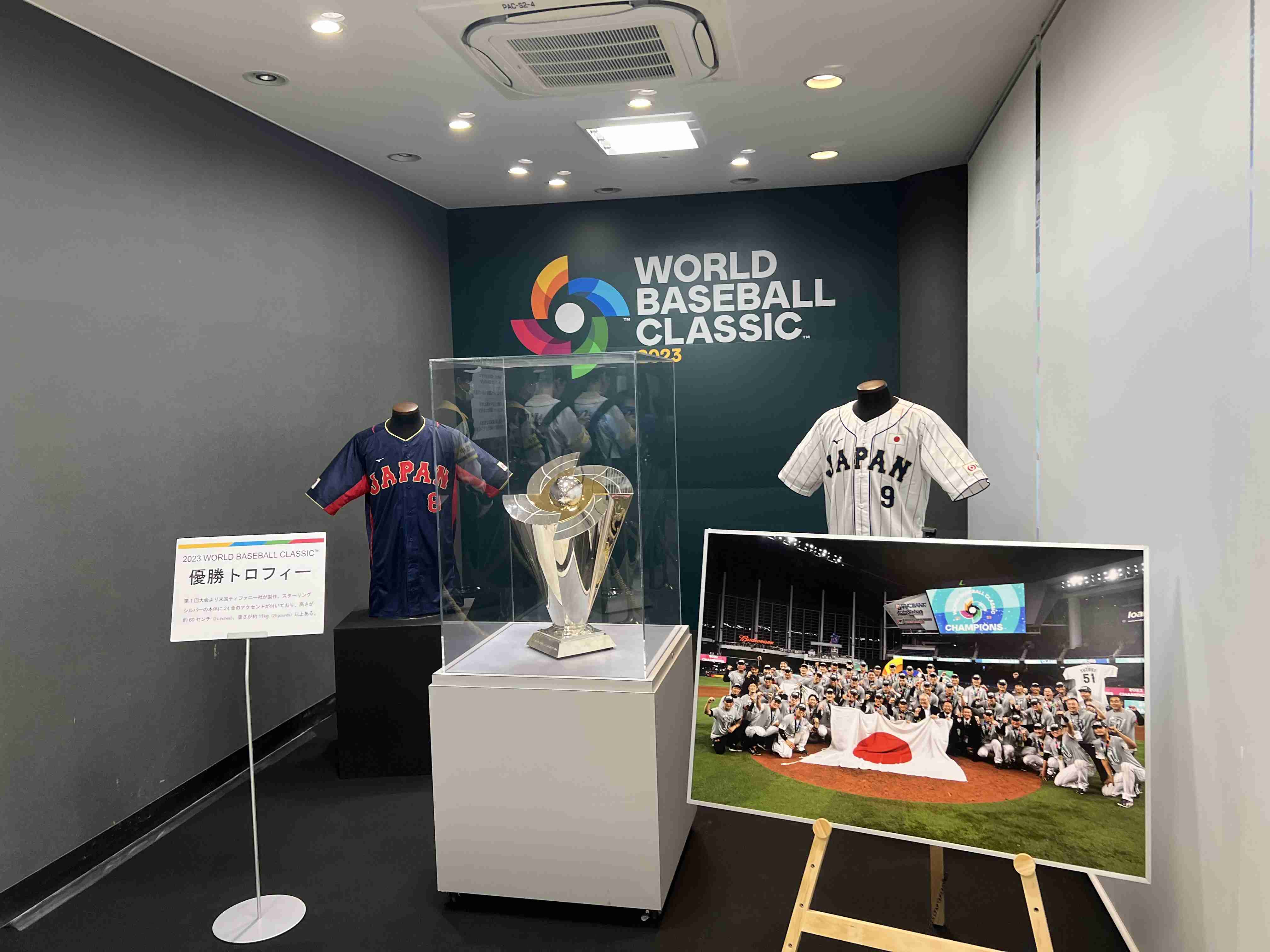 【セ・リーグ】プロ野球ファン【パ・リーグ】