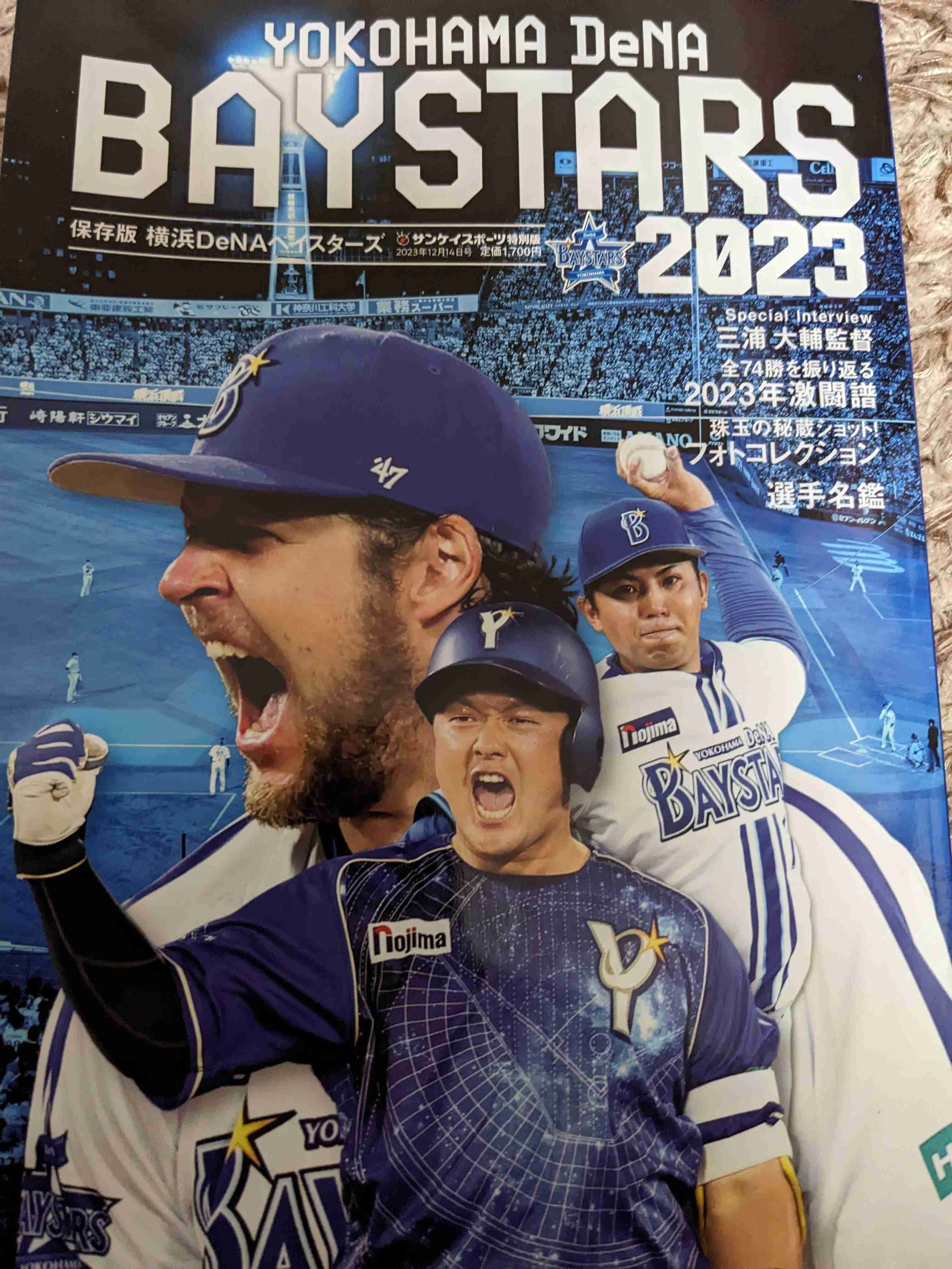【セ・リーグ】プロ野球ファン【パ・リーグ】