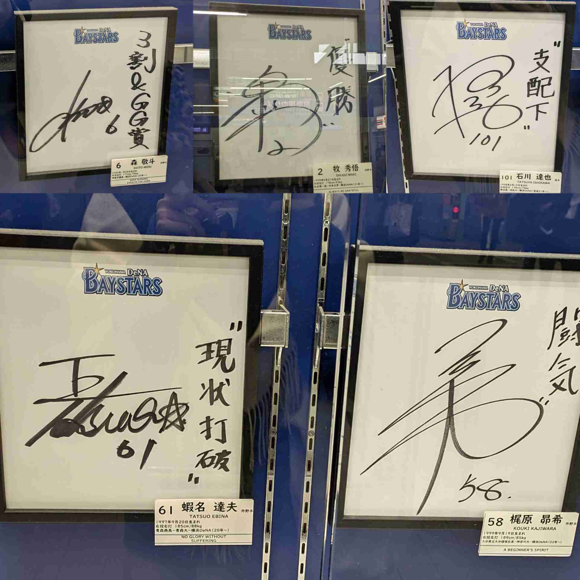 【セ・リーグ】プロ野球ファン【パ・リーグ】