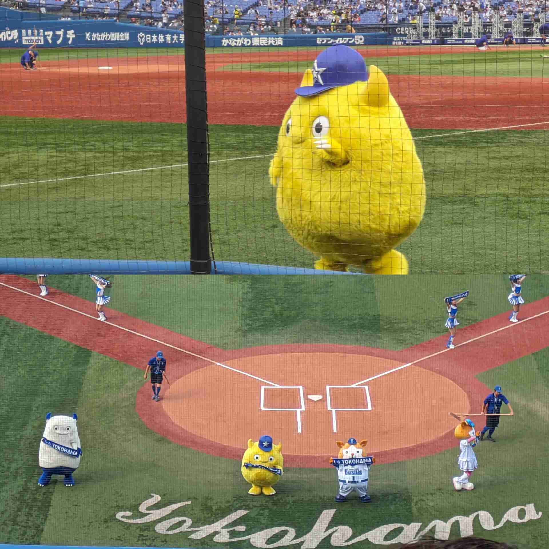 【セ・リーグ】プロ野球ファン【パ・リーグ】