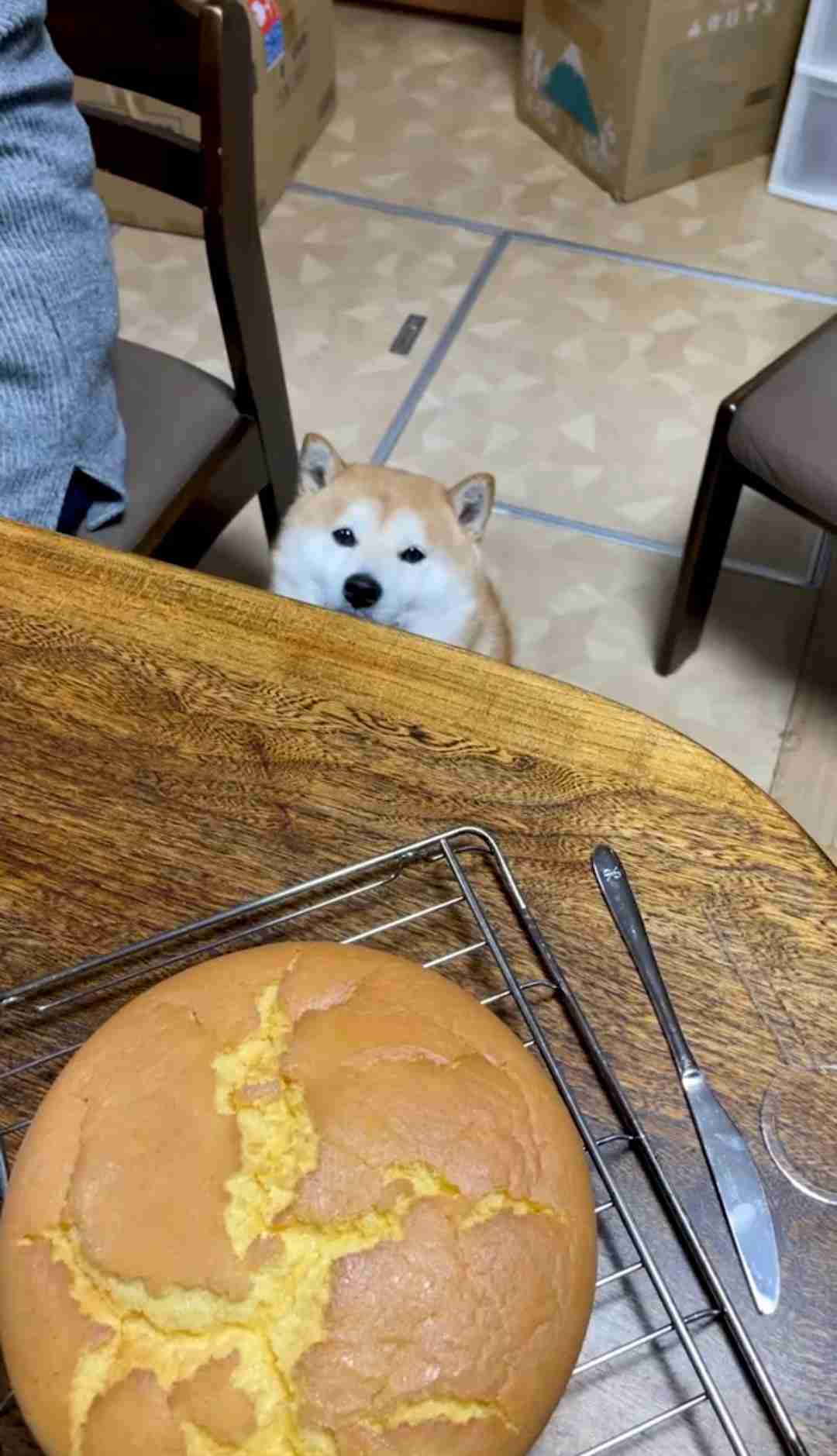 コンビニのクリスマスケーキは可哀想と言われた