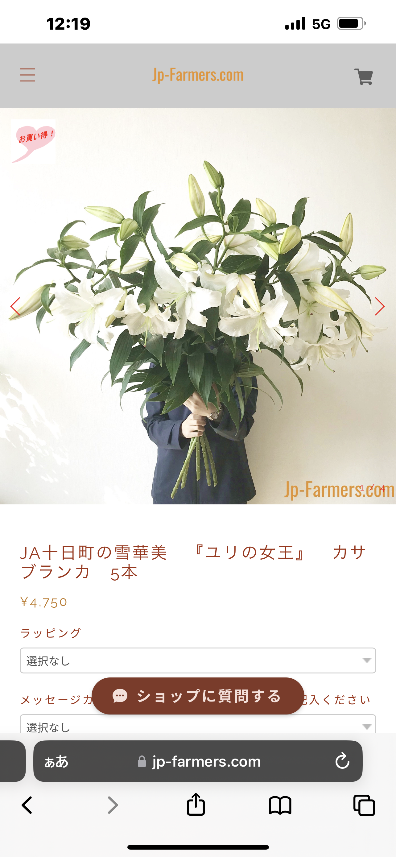 素敵な花 🍀 一目惚れした植物