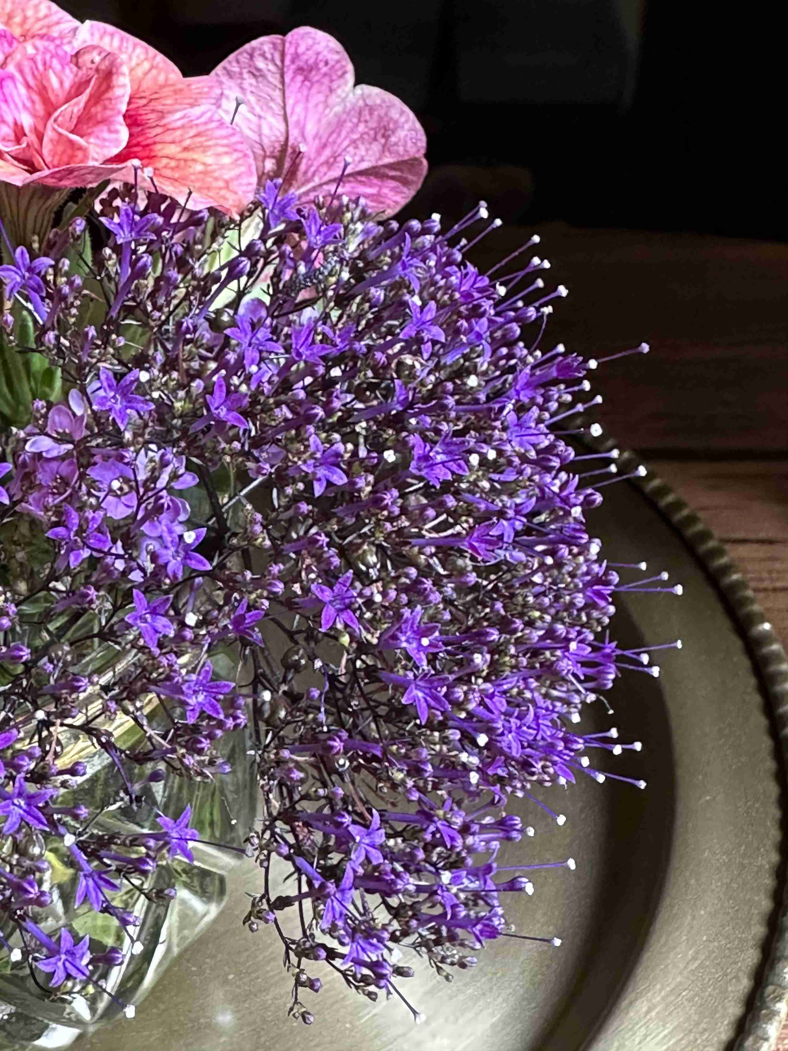 素敵な花 🍀 一目惚れした植物