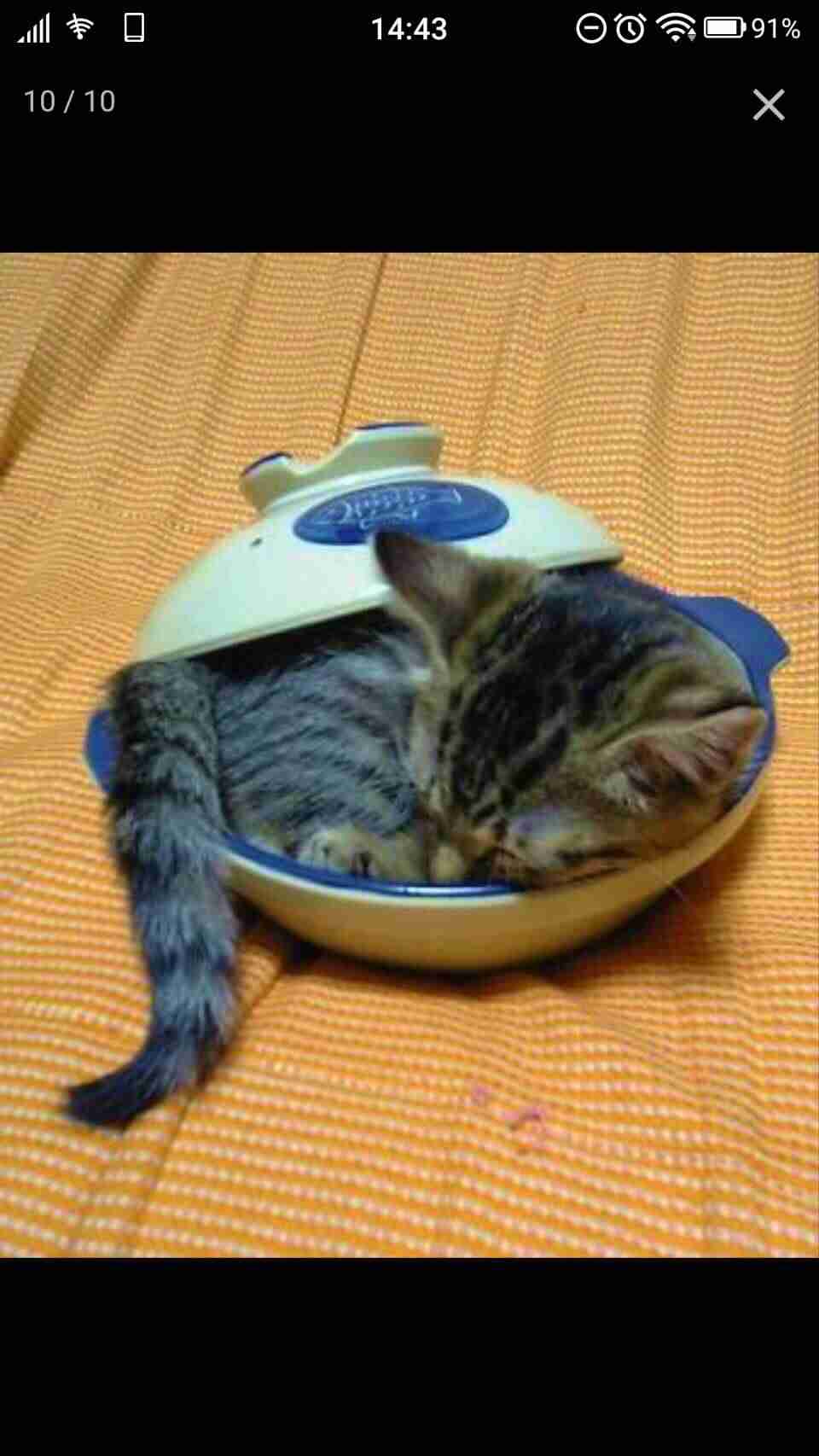 絵画で大喜利【bokete】