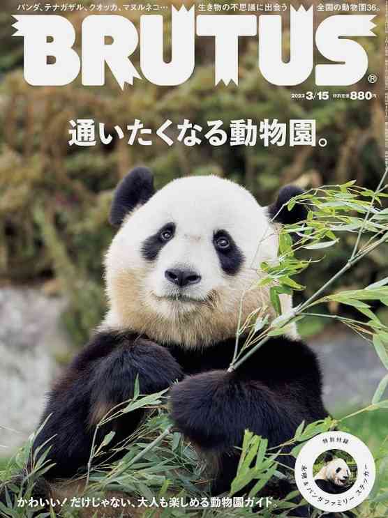 推しが表紙の雑誌