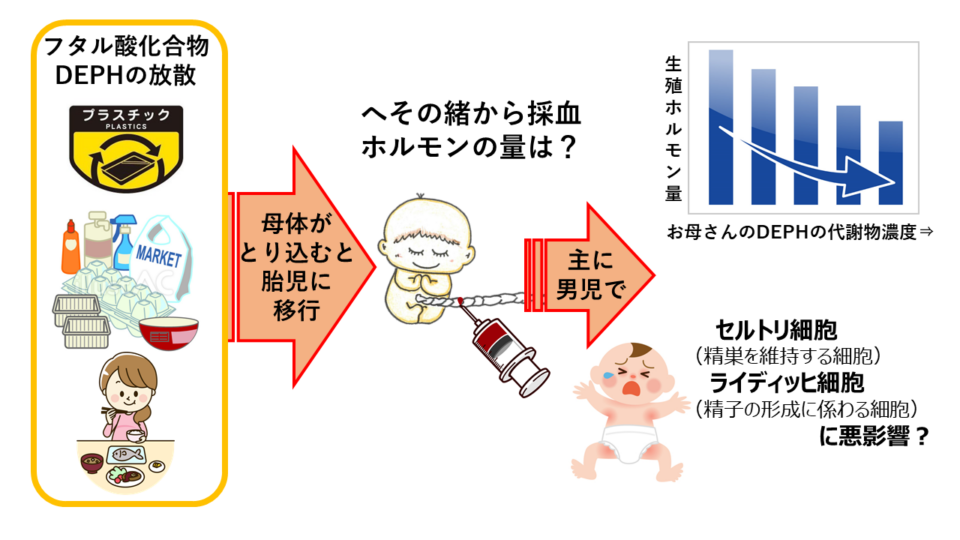給食当番服　柔軟剤などの香害配慮で自由選択制の学校広がる