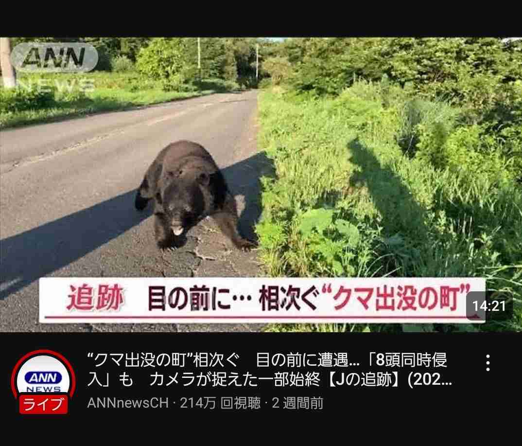 クマの九州上陸はあるのか　山口で生息域拡大　関門海峡泳げる?