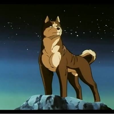 クマの九州上陸はあるのか　山口で生息域拡大　関門海峡泳げる?