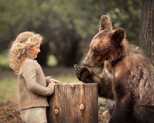 クマの九州上陸はあるのか　山口で生息域拡大　関門海峡泳げる?