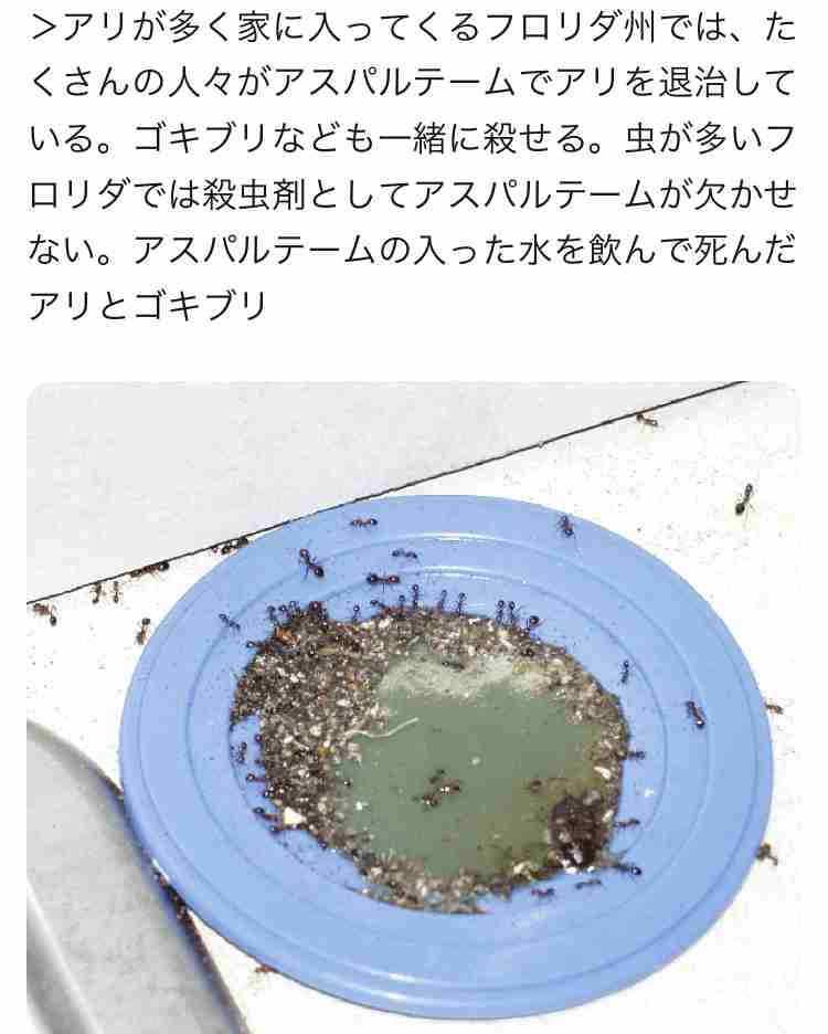 付き合った人数の数だけ文字を書けるトピpart10