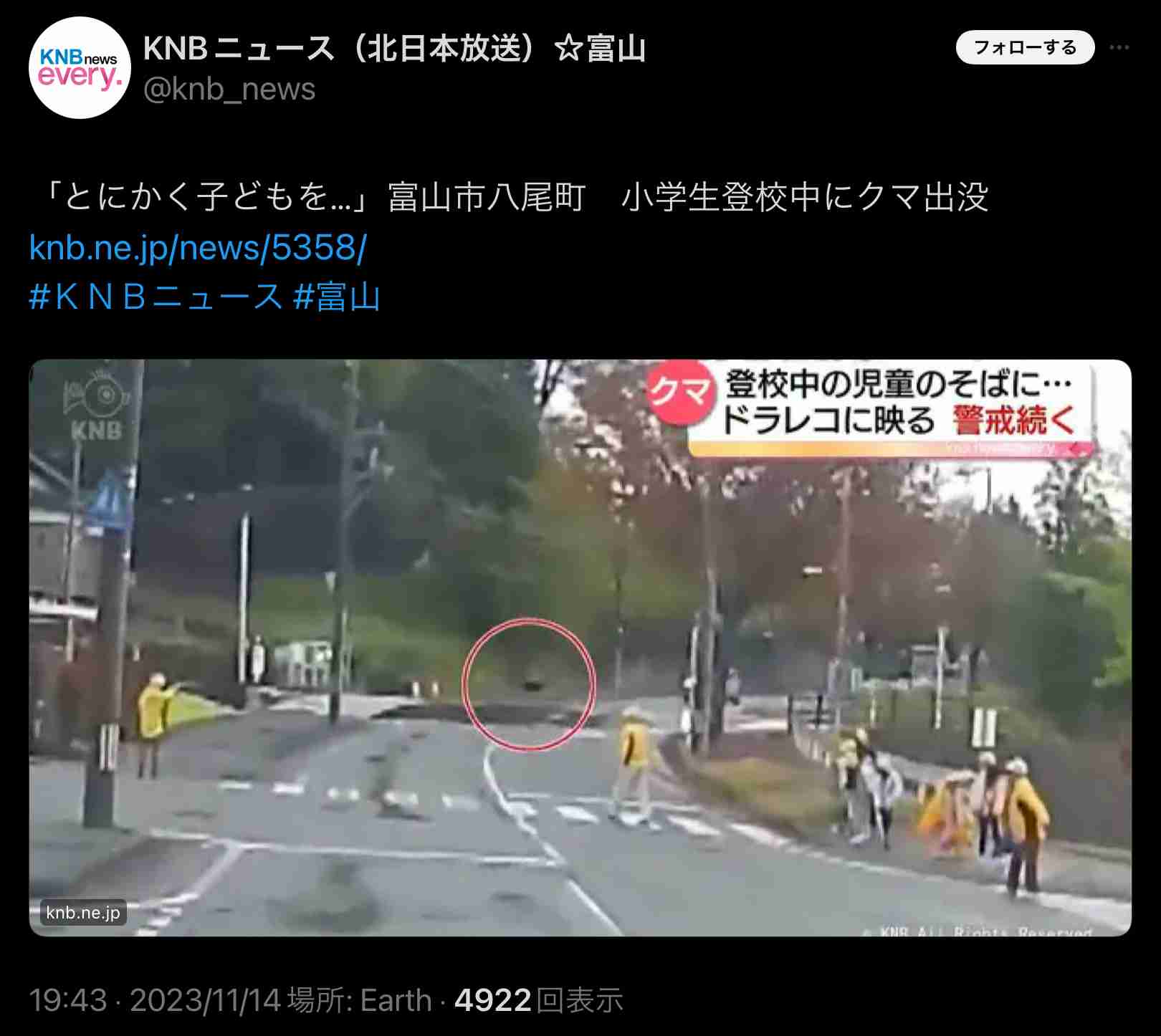 クマを「指定管理鳥獣」に　国に緊急要望　過去最多のクマによる人身被害受け　秋田県